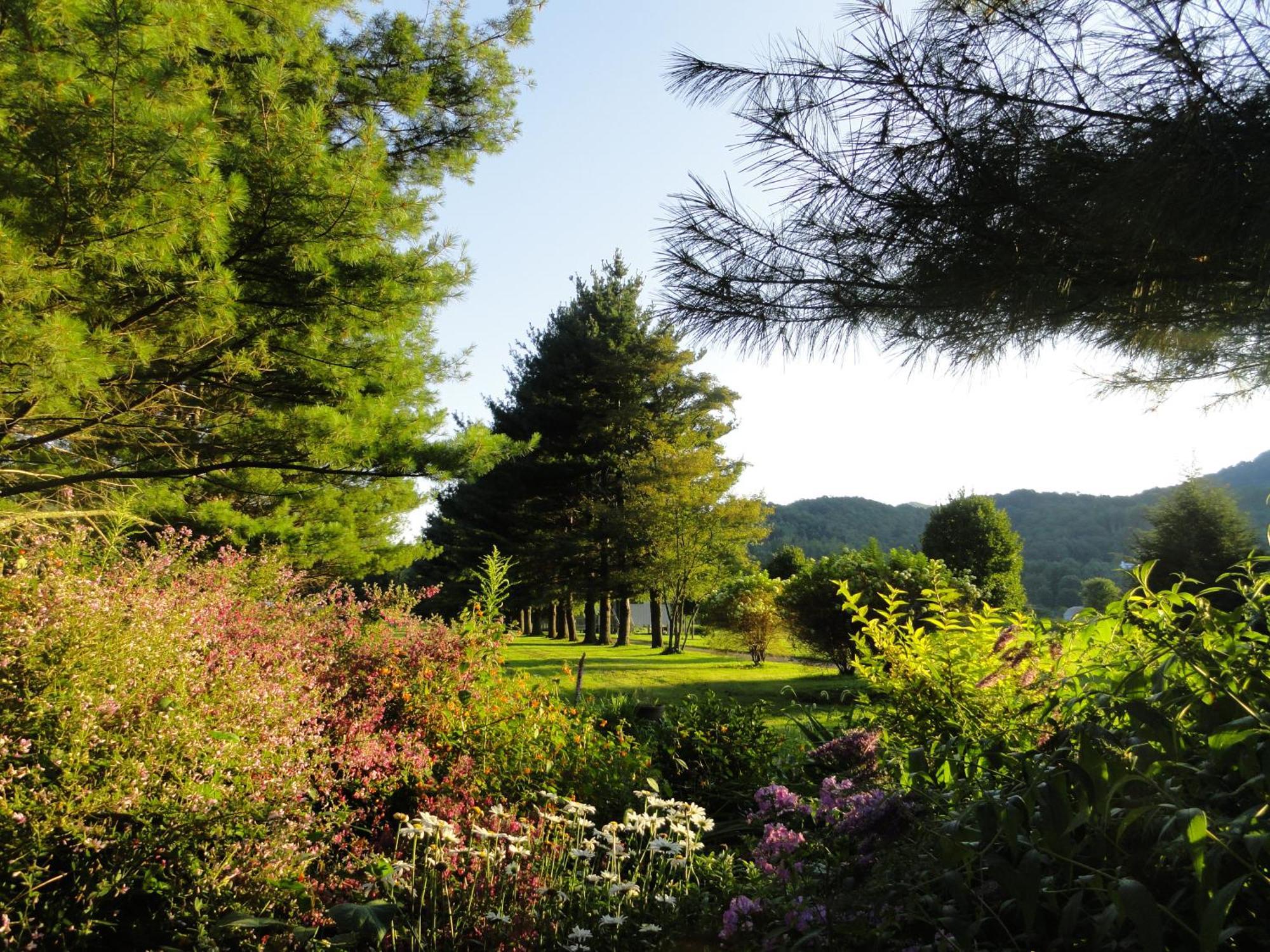 Beech Manor By Vci Real Estate Services Beech Mountain Eksteriør bilde